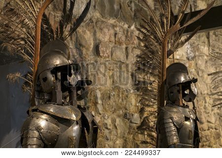 Winged hussar armor is the heavy cavalry of the Polish army (2nd half of the 17th century, steel, brass)