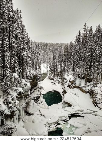 Icy Sunwapta Falls in Winter surrounded my snowy trees