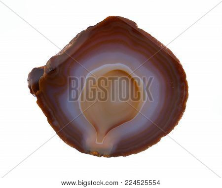 Polished multicolor agate slice isolated on white background