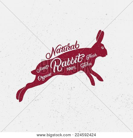 Rabbit silhouette and hand written lettering words rabbit, farm, fresh, natural, organic. Logo, sign, icon for groceries, meat stores, butcher shop, farmer market. Poster for meat related theme. Vector