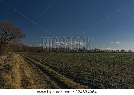 Malse river near Ceske Budejovice city in sunny winter day