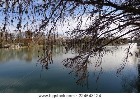 A quiet Guadalupe River in December in Seguin, TX
