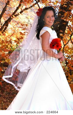 Autumn Bride