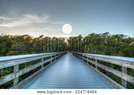 Moonset over the Boardwalk leading to Clam Pass at sunrise in Naples, Florida