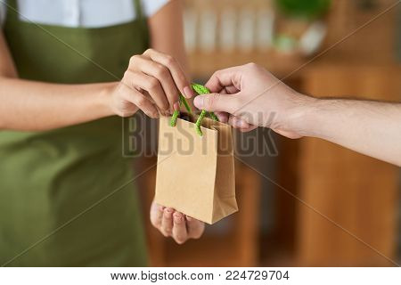 Saleswoman giving paper-bag with ogranic cosmetics to customer