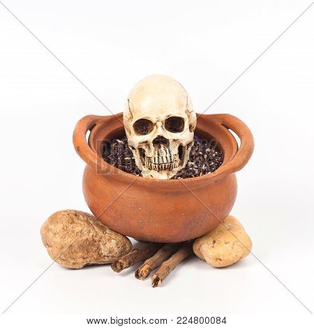 Boiled Skull In Clay Pot With Some Herb On White