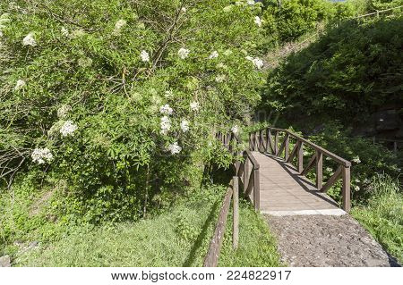 Landscape In Volcanic Area Of La Garrotxa In Santa Pau,catalonia,spain.
