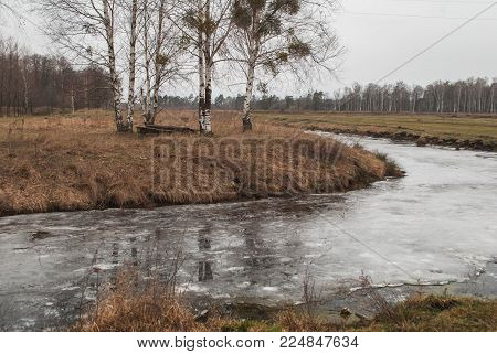 Early spring in the Park, the weather is dreary, depressing landscape