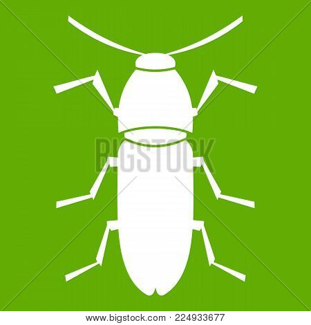 Cereal leaf beetle icon white isolated on green background. Vector illustration