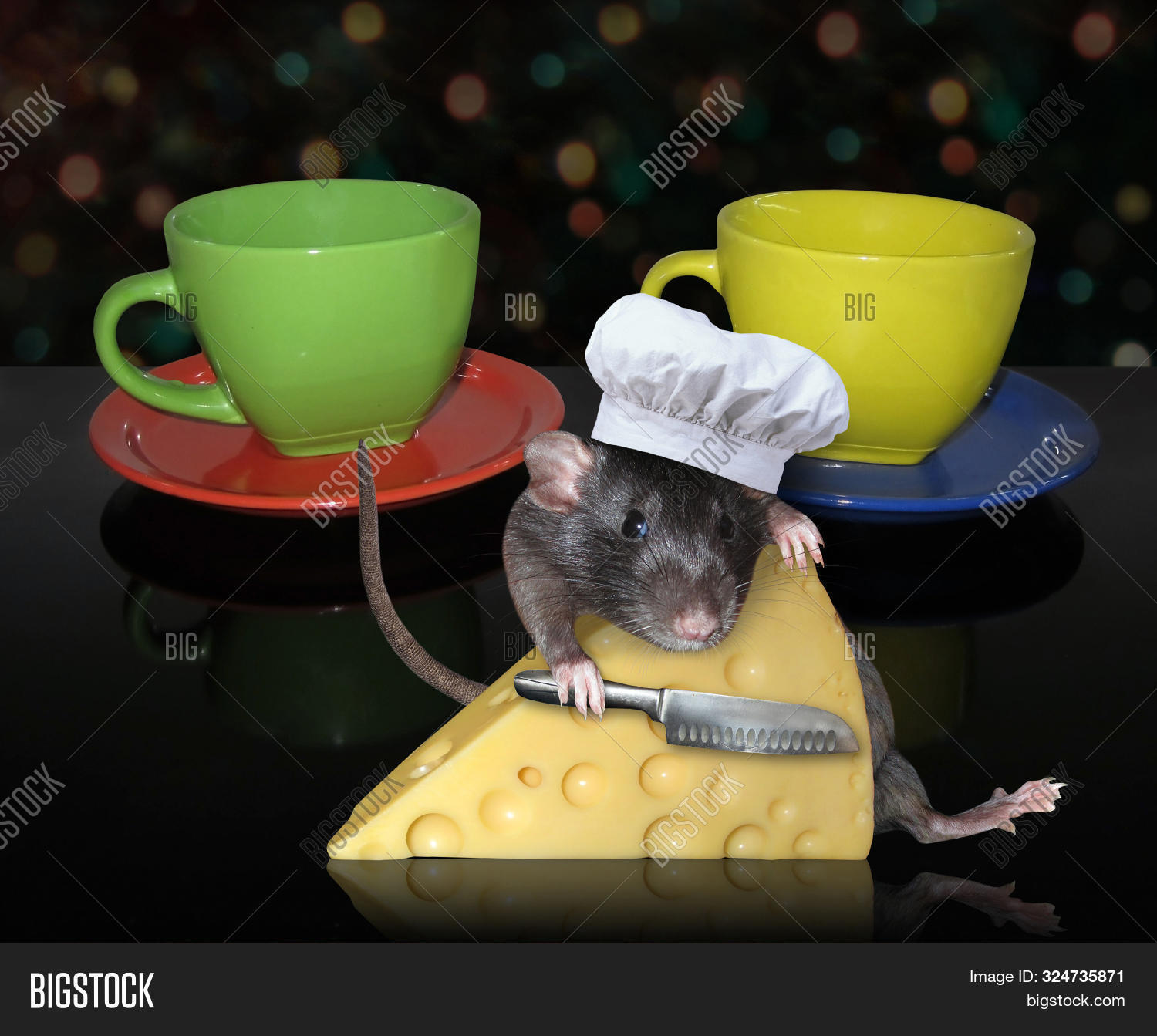 Rat Cuts Cheese On Image & Photo (Free Trial) | Bigstock
