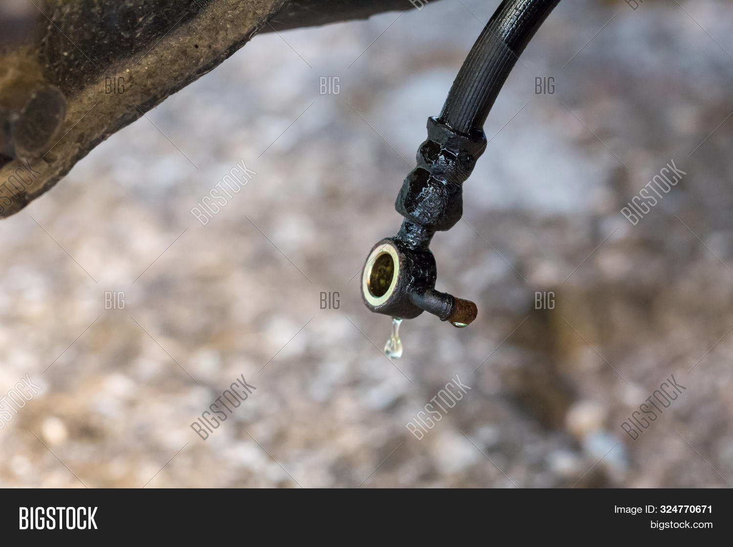 Когда менять тормозные шланги на Калине (Много фото) - avtozahod.ru