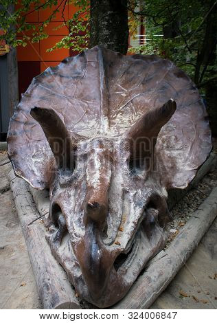 Romania, Rasnov. September, 17, 2019- Dinosaur Skull Made Of Metal At Dino Park From Rasnov. Entranc