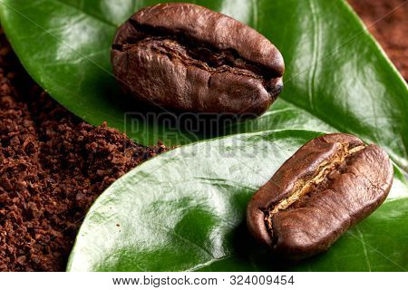 Two Coffee Beans With Green Leaves On Ground Coffee Background. Concept: Freshness Of Coffee Beans. 