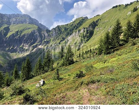 Schiberg And Bockmattlistock Mountains Above The Oberseetal Valley And In The Glarus Alps Mountain M