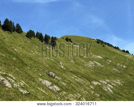 Tierberg Mountain Above The Oberseetal Valley And In The Glarus Alps Mountain Masiff, Nafels (näfels