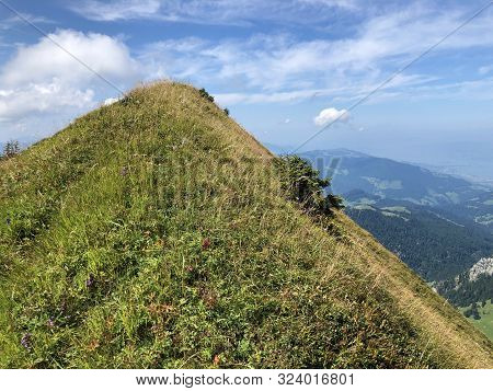 Tierberg Mountain Above The Oberseetal Valley And In The Glarus Alps Mountain Masiff, Nafels (näfels