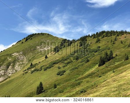 Tierberg Mountain Above The Oberseetal Valley And In The Glarus Alps Mountain Masiff, Nafels (näfels
