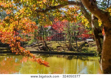 Nara, Japan - November 21: Autumn View Of Kagami Ike (mirror Pond) With Itsukushima Shrine Among Map