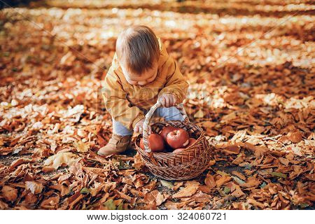 Little Boy Sitting In A Autumn Park