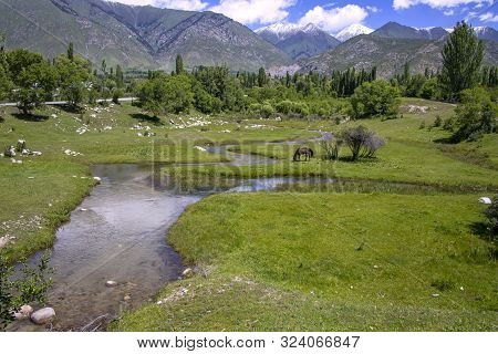 A Horse Grazing In A Meadow With A River Against The Background Of The Forest, Mountain Ranges And C