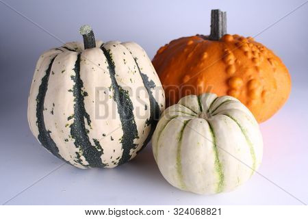 Three Pumpins Autumn Still Life On White Background