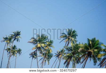 Cola Colva Beach In Paradise Goa Copyspase