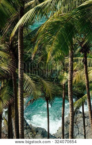Cola Colva Beach In Paradise Goa Copyspase