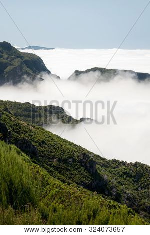 Cloud Moss On Top Of Pico Ruivo In Madeira