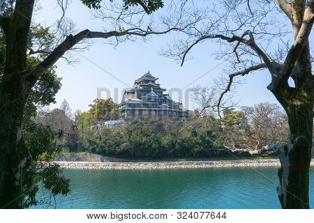 Okayama Castle With Sakura Blooming Season