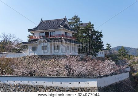 Fukuyama Castle With Sakura Blooming Season