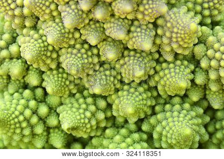 Organic Ripe Green Romanesco Broccoli Or Roman Cauliflower As A Background.new Harvest Concept.