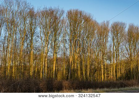 Autumn Scene With Red Yellow Brown And Orange Colors The Change Of Seasons