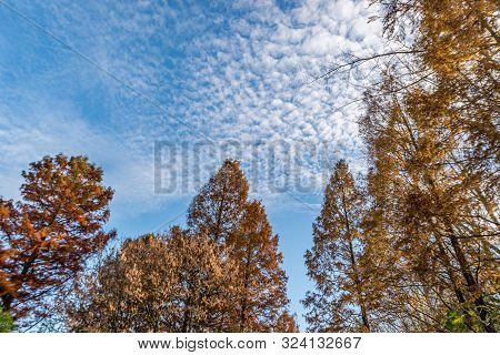 Autumn Scene With Red Yellow Brown And Orange Colors The Change Of Seasons