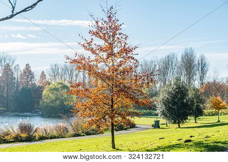 Autumn Scene With Red Yellow Brown And Orange Colors The Change Of Seasons