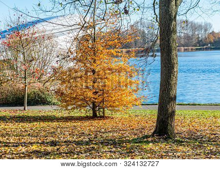 Autumn Scene With Red Yellow Brown And Orange Colors The Change Of Seasons