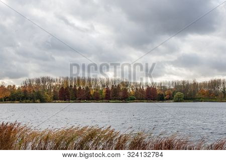 Autumn Scene With Red Yellow Brown And Orange Colors The Change Of Seasons