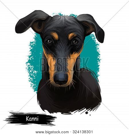 Kanni, Maidens Beastmaster, Chippiparai Dog Digital Art Illustration Isolated On White Background. S