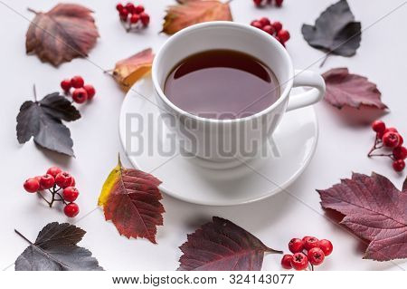 White Tea Mug, Leaves And Berries. Autumn Composition. Red Foliage, Ceramic Teacup And Small Fruits 