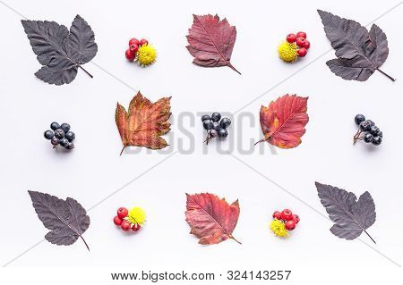 Leaves And Berries Top View. Autumn Composition. Orange And Red Foliage And Small Fruits On White Ba