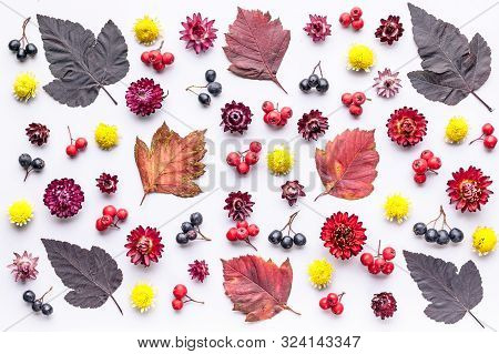 Leaves And Berries Top View. Autumn Composition. Orange And Red Foliage And Small Fruits On White Ba