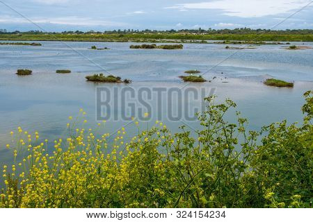 Beautiful View Of Lilleau Des Niges National Nature Reserve Of Ile De Re Island In France