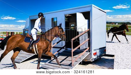 Horse Transportation Van . Funny Horse Transport . Sports Horse . The Jockey Operates A Horse