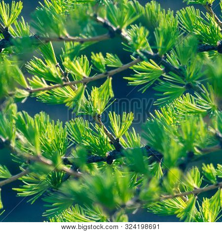 Seamless Pattern Green Foliage On Tree Branch. Nature Background