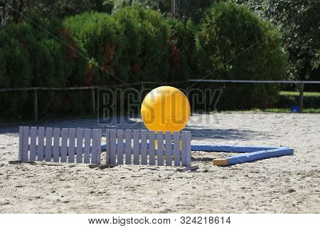 Yellow Colored Physioball On The Sand During  Training For Beginner Riders And Horses At Rural Ridin