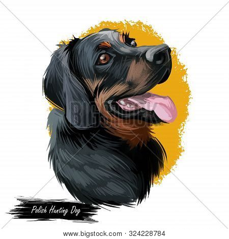 Polish Hunting Dog Portrait Isolated On White. Digital Art Illustration Of Hand Drawn Dog For Web, T