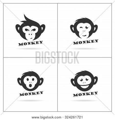 Monkey Logo Design, Monkey Vector Icon, Animal Illustration