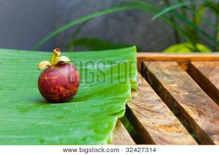 Mangostin
