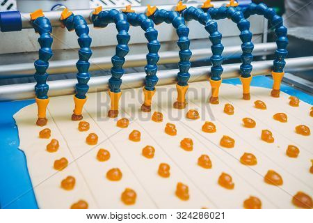 Cookie Making Factory Bakery Fresh Cook Biscuit