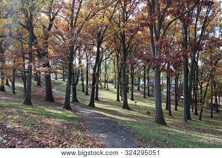 Cement Pathway Through A Wooded Park With Leaves Falling