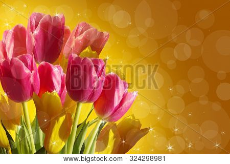 A Bouquet Of Pink Tulips Tulips On A Yellow Background.